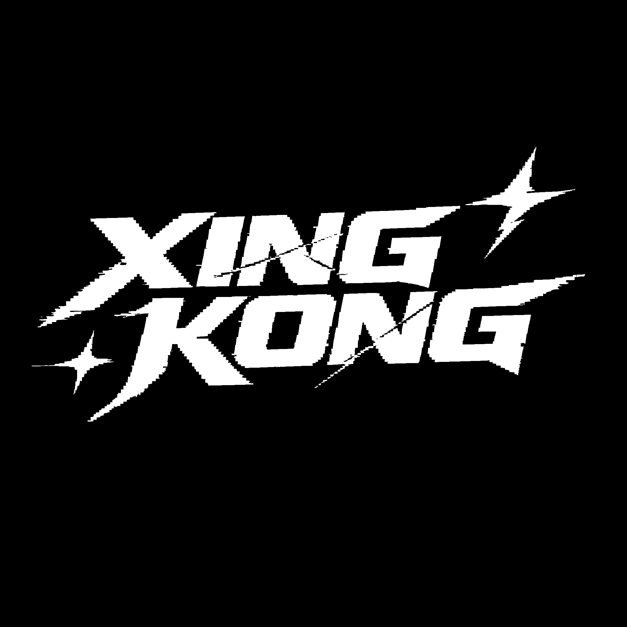 XING KONG Logo